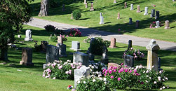 Forest View Cemetery